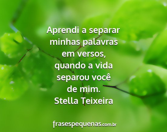 Stella Teixeira - Aprendi a separar minhas palavras em versos,...