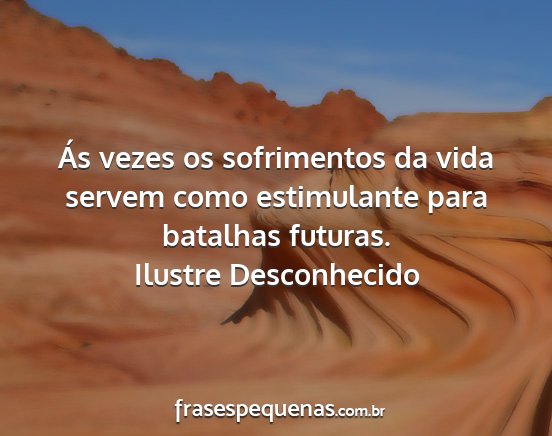 Ilustre Desconhecido - Ás vezes os sofrimentos da vida servem como...