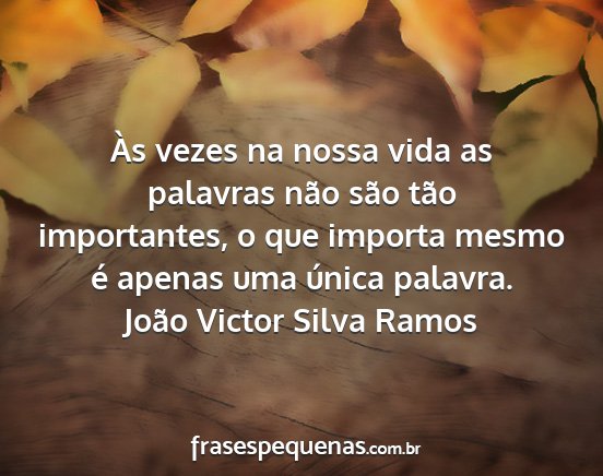 João Victor Silva Ramos - Às vezes na nossa vida as palavras não são...