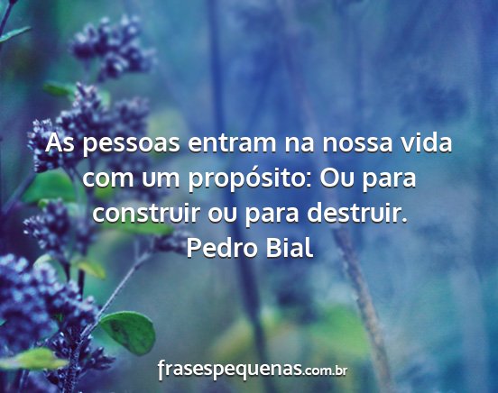 Pedro Bial - As pessoas entram na nossa vida com um...