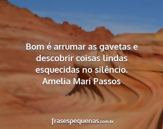 Amelia Mari Passos - Bom é arrumar as gavetas e descobrir coisas...