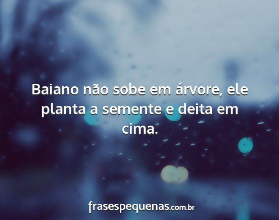 Baiano não sobe em árvore, ele planta a semente...