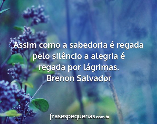 Brenon Salvador - Assim como a sabedoria é regada pelo silêncio a...