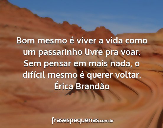 Érica Brandão - Bom mesmo é viver a vida como um passarinho...