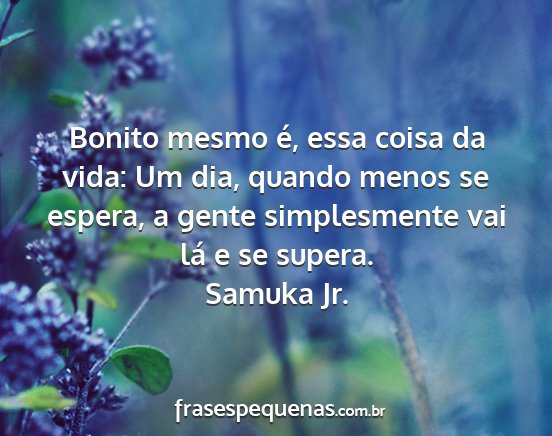 Samuka Jr. - Bonito mesmo é, essa coisa da vida: Um dia,...