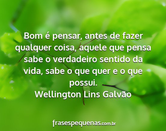 Wellington Lins Galvão - Bom é pensar, antes de fazer qualquer coisa,...