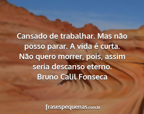 Bruno Calil Fonseca - Cansado de trabalhar. Mas não posso parar. A...