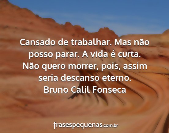 Bruno Calil Fonseca - Cansado de trabalhar. Mas não posso parar. A...