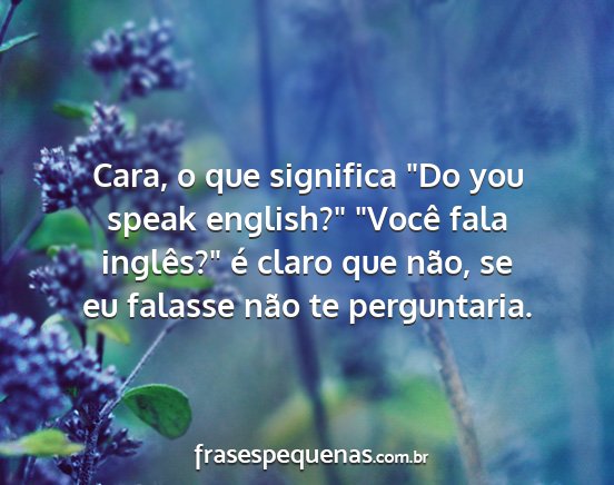 Cara, o que significa Do you speak english?...