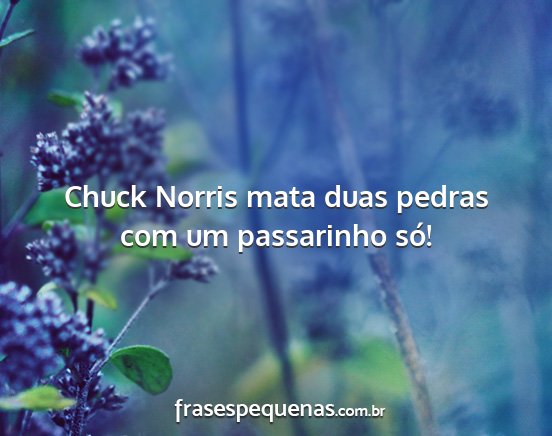 Chuck Norris mata duas pedras com um passarinho...