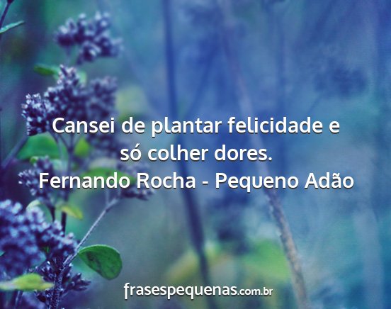 Fernando Rocha - Pequeno Adão - Cansei de plantar felicidade e só colher dores....