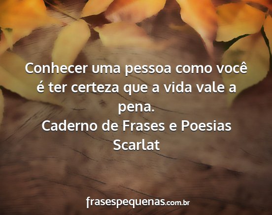 Caderno de Frases e Poesias Scarlat - Conhecer uma pessoa como você é ter certeza que...