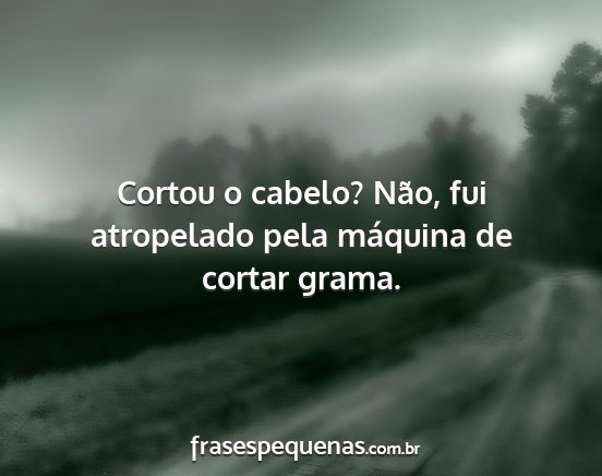 Cortou o cabelo? Não, fui atropelado pela...