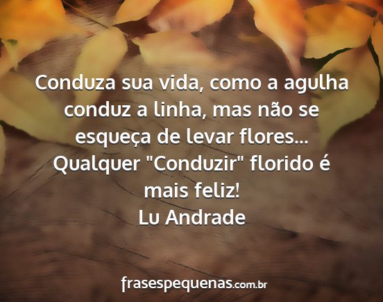 Lu Andrade - Conduza sua vida, como a agulha conduz a linha,...