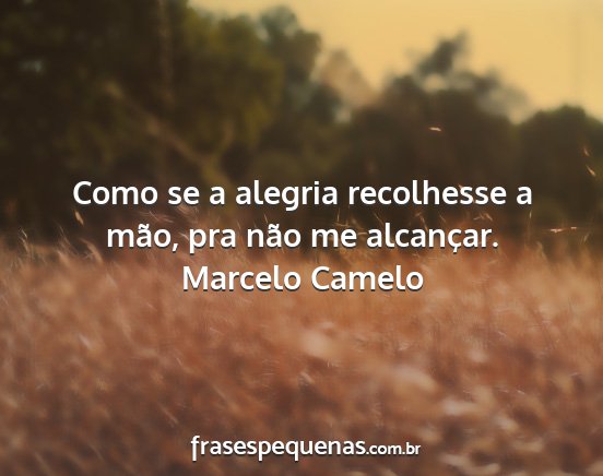 Marcelo Camelo - Como se a alegria recolhesse a mão, pra não me...