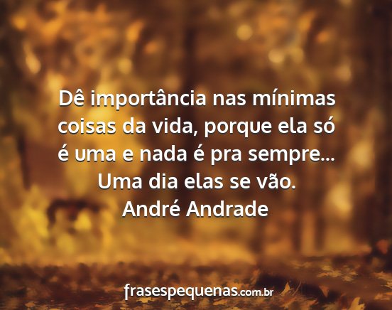 André Andrade - Dê importância nas mínimas coisas da vida,...