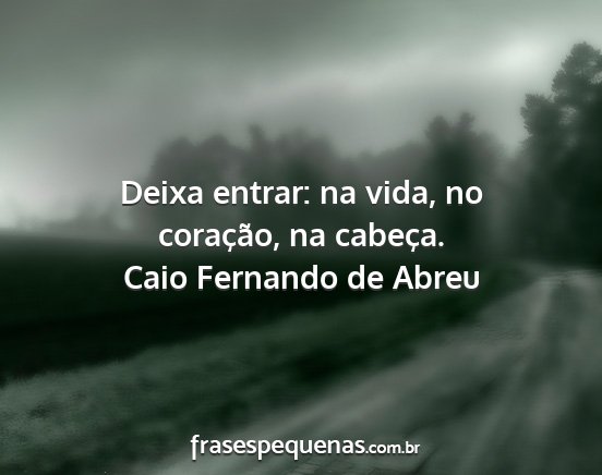 Caio Fernando de Abreu - Deixa entrar: na vida, no coração, na cabeça....
