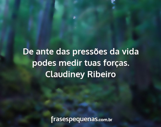 Claudiney Ribeiro - De ante das pressões da vida podes medir tuas...