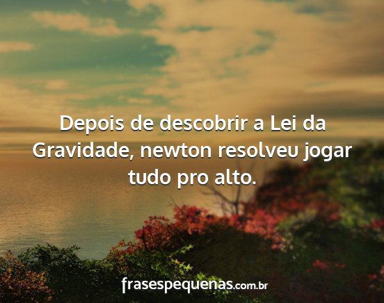 Depois de descobrir a Lei da Gravidade, newton...