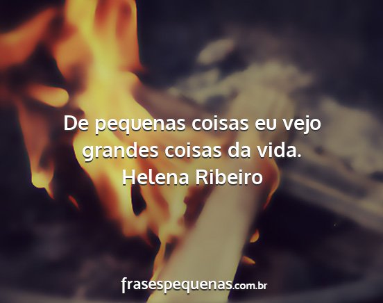 Helena Ribeiro - De pequenas coisas eu vejo grandes coisas da vida....