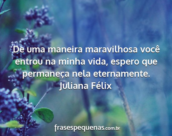 Juliana Félix - De uma maneira maravilhosa você entrou na minha...