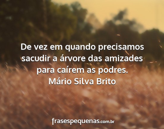 Mário Silva Brito - De vez em quando precisamos sacudir a árvore das...