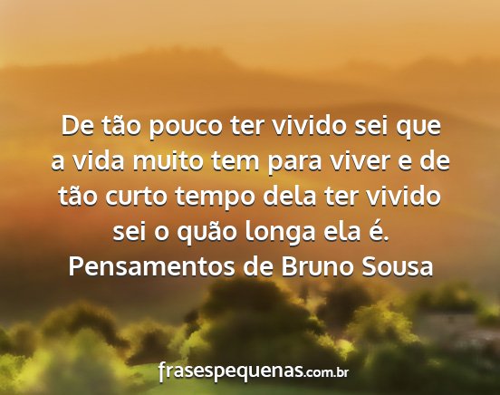 Pensamentos de Bruno Sousa - De tão pouco ter vivido sei que a vida muito tem...