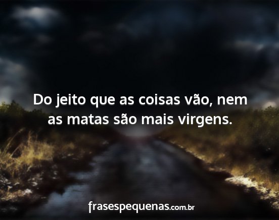 Do jeito que as coisas vão, nem as matas são...