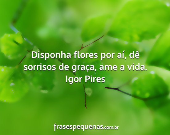 Igor Pires - Disponha flores por aí, dê sorrisos de graça,...