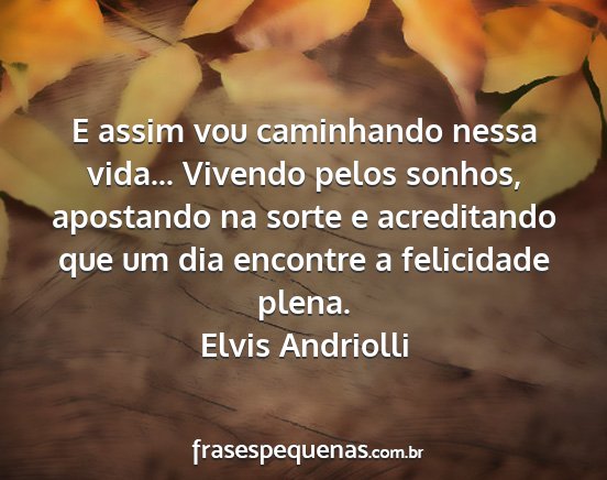 Elvis Andriolli - E assim vou caminhando nessa vida... Vivendo...