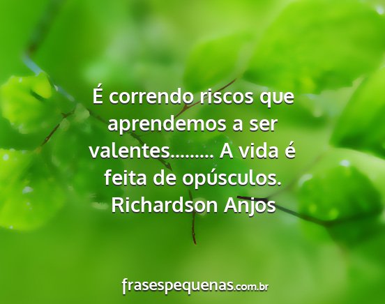 Richardson Anjos - É correndo riscos que aprendemos a ser...