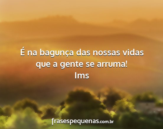 Ims - É na bagunça das nossas vidas que a gente se...