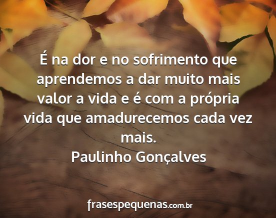 Paulinho Gonçalves - É na dor e no sofrimento que aprendemos a dar...