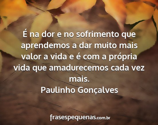 Paulinho Gonçalves - É na dor e no sofrimento que aprendemos a dar...