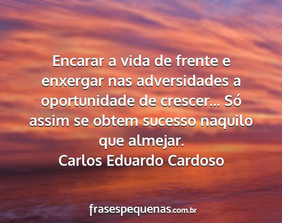 Carlos Eduardo Cardoso - Encarar a vida de frente e enxergar nas...