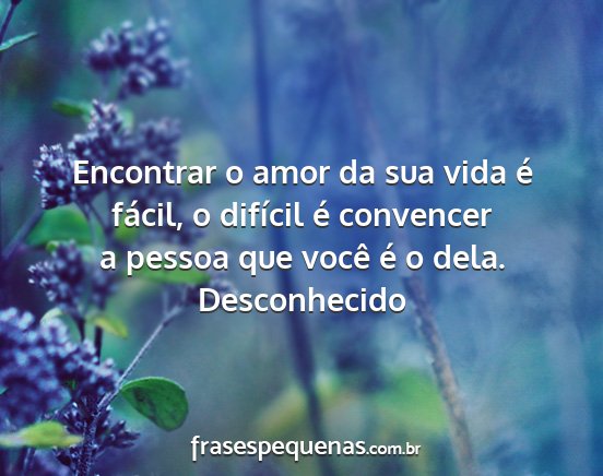 Desconhecido - Encontrar o amor da sua vida é fácil, o...