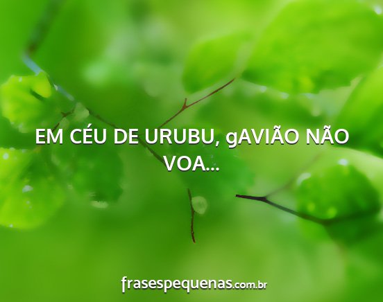 EM CÉU DE URUBU, gAVIÃO NÃO VOA......