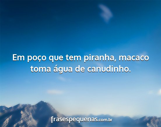 Em poço que tem piranha, macaco toma água de...