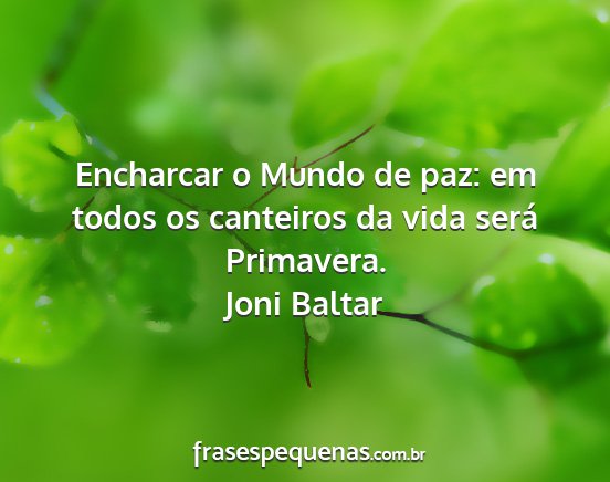 Joni Baltar - Encharcar o Mundo de paz: em todos os canteiros...