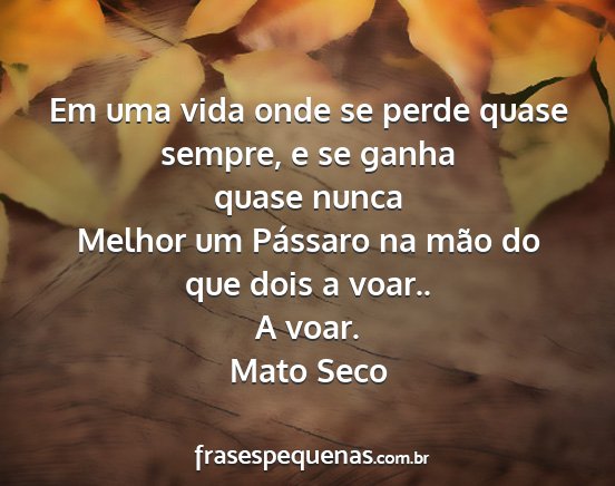 Mato Seco - Em uma vida onde se perde quase sempre, e se...