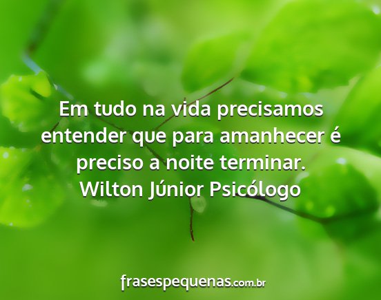 Wilton Júnior Psicólogo - Em tudo na vida precisamos entender que para...