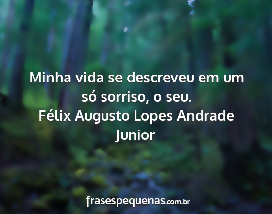 Félix Augusto Lopes Andrade Junior - Minha vida se descreveu em um só sorriso, o seu....