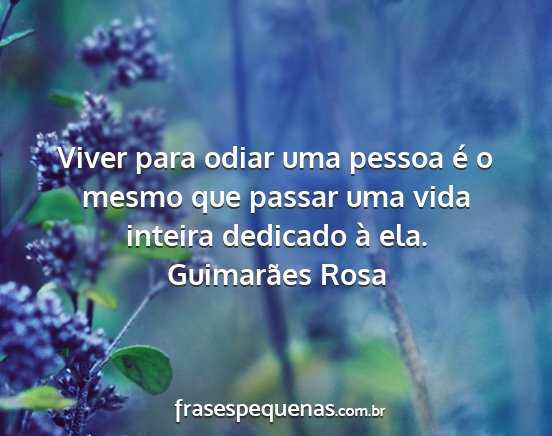 Guimarães Rosa - Viver para odiar uma pessoa é o mesmo que passar...