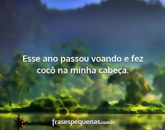 Esse ano passou voando e fez cocô na minha...