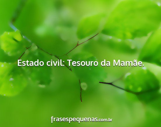 Estado civil: Tesouro da Mamãe....