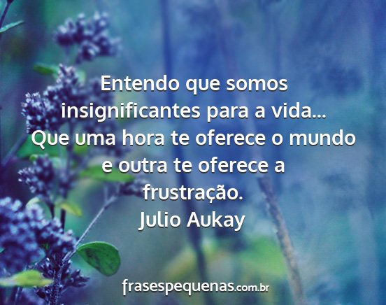 Julio Aukay - Entendo que somos insignificantes para a vida......
