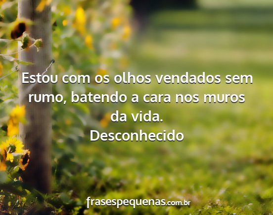 Desconhecido - Estou com os olhos vendados sem rumo, batendo a...