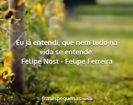 Felipe Nost - Felipe Ferreira - Eu já entendi, que nem tudo na vida se entende....