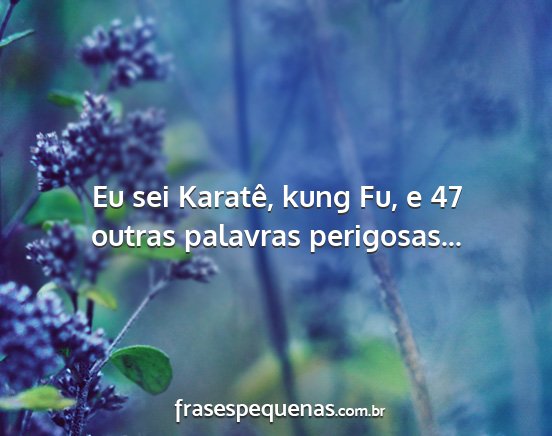Eu sei Karatê, kung Fu, e 47 outras palavras...
