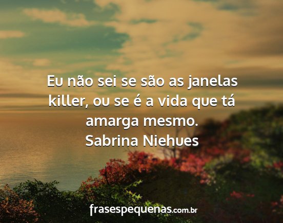 Sabrina Niehues - Eu não sei se são as janelas killer, ou se é a...